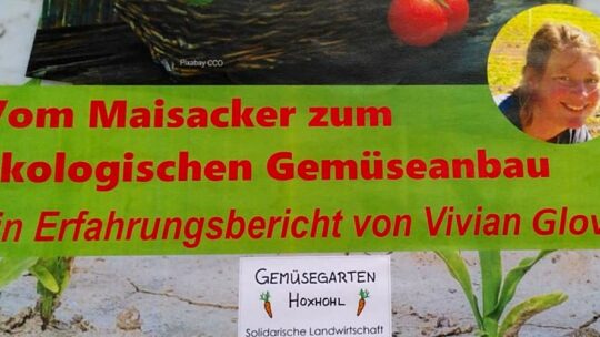 Vom Maisacker zum ökologischen Gemüseanbau