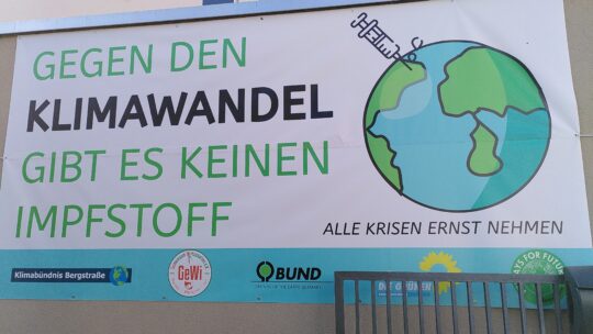 Banner bei Studio Roth